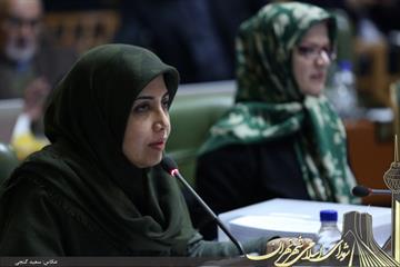 رییس شورای استان تهران در گفت‌وگو با اقتصادآنلاین: منافع عده‌ای با ساماندهی دستفروشان به خطر می‌افتد!